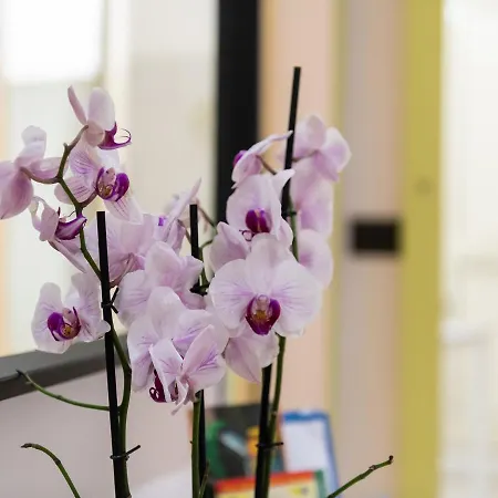 L'arcobaleno Tatil Evi Cagliari