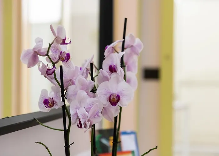 L'arcobaleno Casa de Férias Cagliari